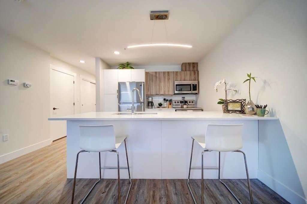 Luxurious Modern 2Br Condo Sleeps 5 Coffee, Ac, Wifi 哈利法克斯 外观 照片